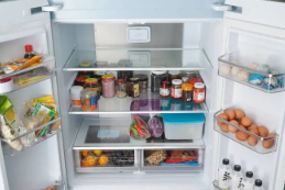 冰箱冷柜“1+1”火了 家电市场展现出较强韧性