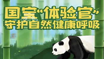长虹熊猫懒Ⅱ代焕新上市，让舒适生活再懒一点