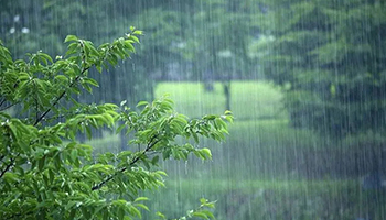 梅雨季催生“梅雨经济” 除湿产品迎来销售旺季