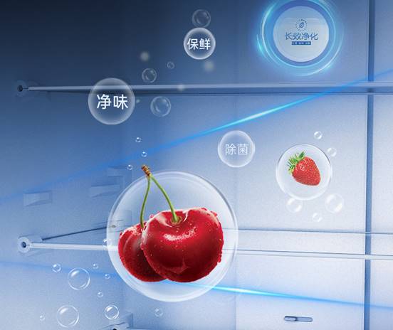 http://upload.cheaa.com/2025/0529/1748487548298