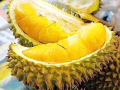 水果中的战斗机 11款榴莲美食大集锦