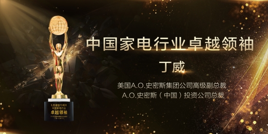 丁总 2019中国家电行业卓越领袖