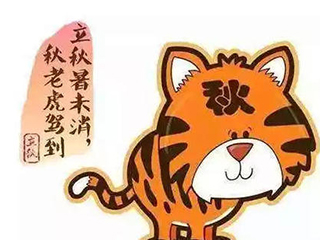 “秋老虎”发威 选对风扇爽到飞起