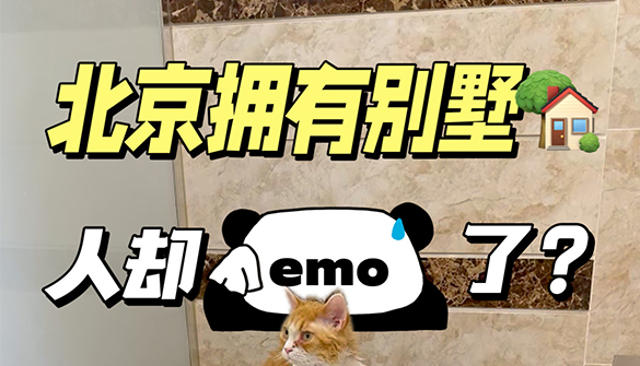 功能价值与情绪价值兼备，缓解焦虑“它”也行?