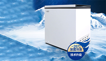 新飞冷柜BC/BD-201KHAT：大容量强保鲜，静享品质生活新选择