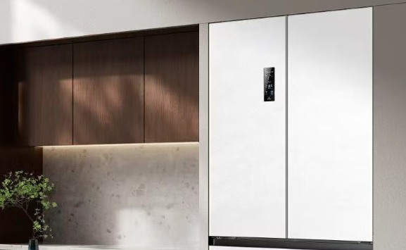 拒绝串味！2025十大高性价比冰箱精准推荐