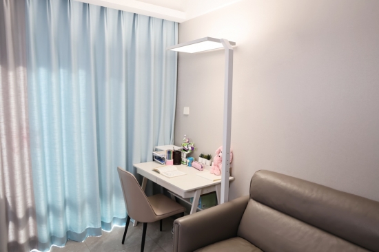 房间里的沙发 中度可信度描述已自动生成