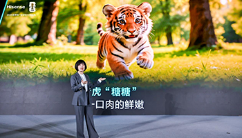 ������650U8���� ���籭���Ʊ�������߶˴����±��