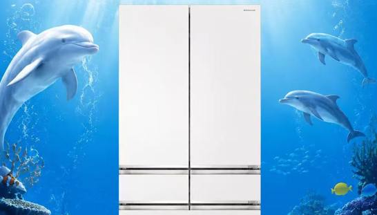 澳柯玛白海豚双系统深冷锁鲜冰箱斩获两项行业大奖，-36℃深冷定义锁鲜新标准