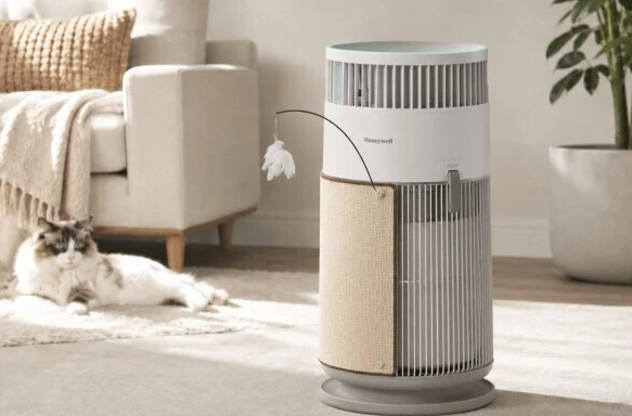 https://upload.cheaa.com/2026/0730/1785399628100