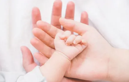 https://upload.cheaa.com/2026/0831/1788150484554